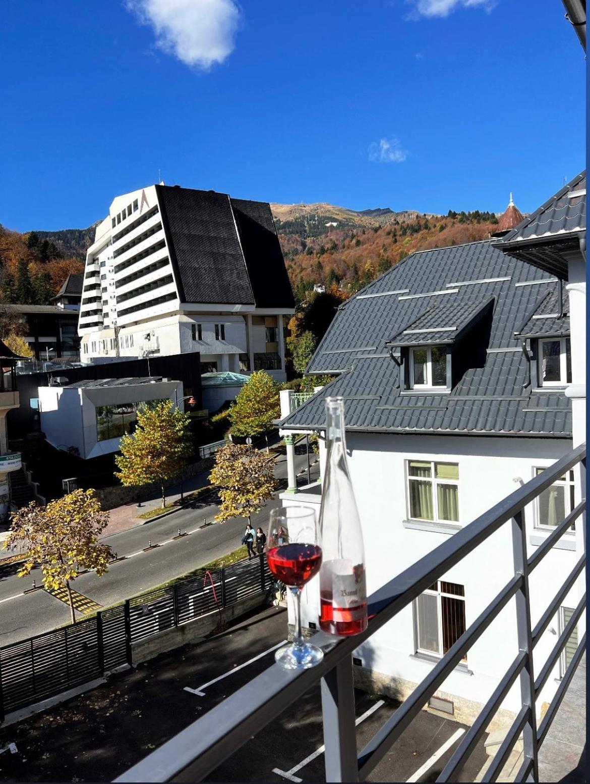 Ana Apartments Sinaia Kültér fotó